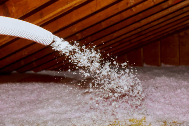 Best Commercial Insulation in Silver Lake, OH